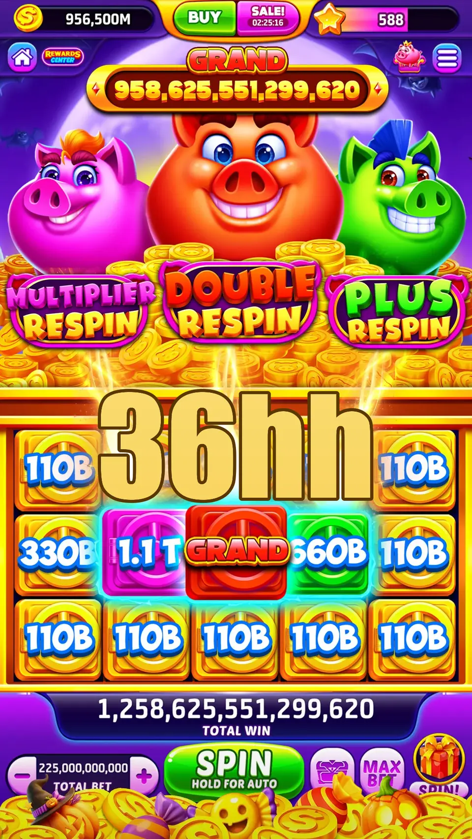 36hh Login
